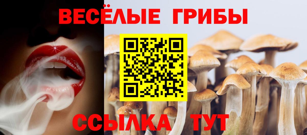 Стерлитамак  Галлюциногенные грибы Cubensis  Галлюциногенные грибы мицелий  Вход с VPN 